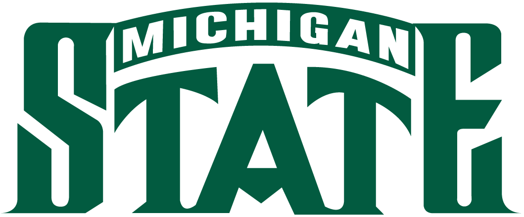 Michigan State Spartans 1987-Pres Wordmark Logo diy fabric transfer